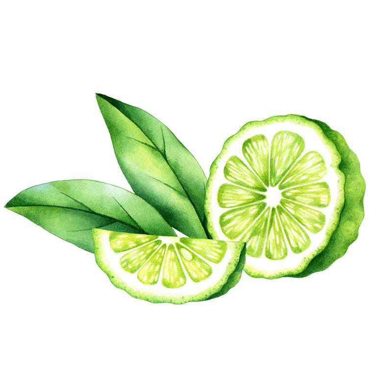 ぷにぷに様さ専用ページ doTERRA ベルガモット・ライム 15ml2本